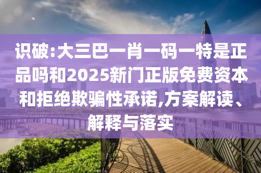 識(shí)破:大三巴一肖一碼一特是正品嗎和2025新門正版免費(fèi)資本和拒絕欺騙性承諾,方案解讀、解釋與落實(shí)
